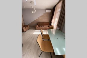 New beautiful historical central apartment